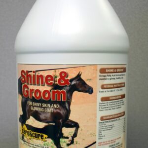Shine and Groom