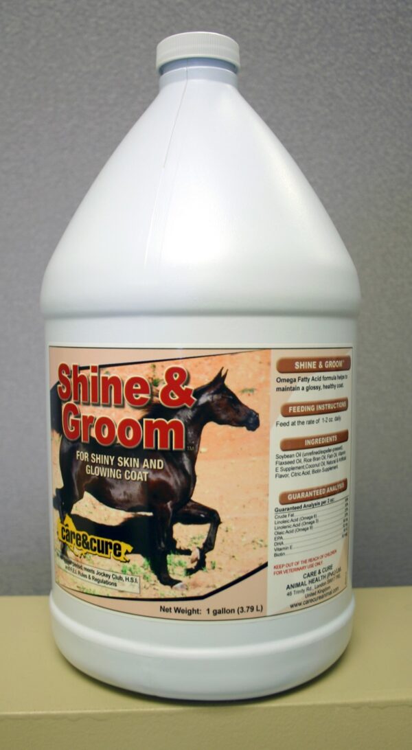 Shine and Groom