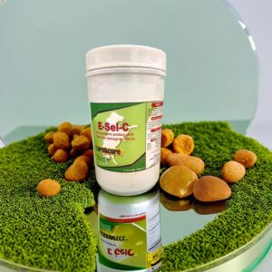E-Sel-C (1KG)